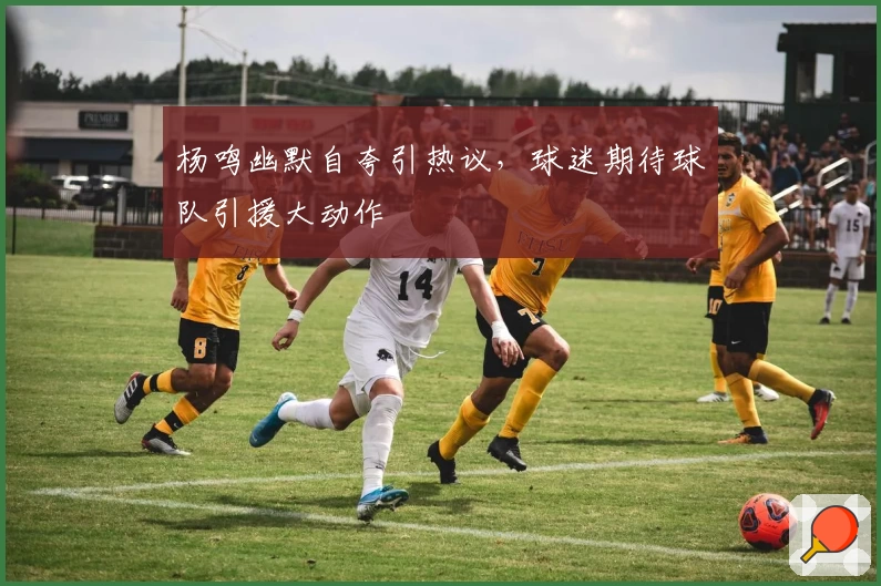杨鸣幽默自夸引热议，球迷期待球队引援大动作