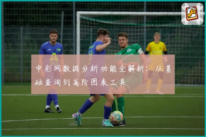 中彩网数据分析功能全解析：从基础查询到高阶图表工具
