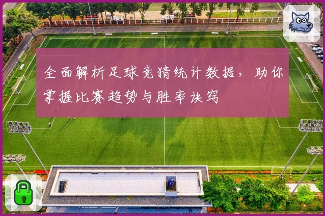 全面解析足球竞猜统计数据，助你掌握比赛趋势与胜率诀窍