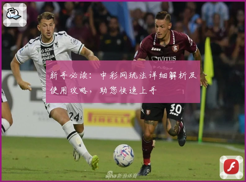 新手必读:中彩网玩法详细解析及使用攻略,助您快速上手