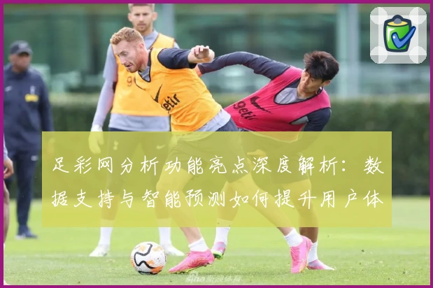 足彩网分析功能亮点深度解析：数据支持与智能预测如何提升用户体验