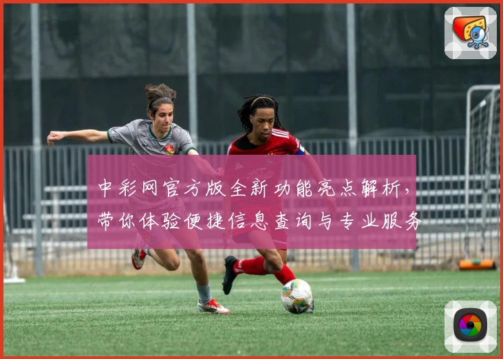中彩网官方版全新功能亮点解析，带你体验便捷信息查询与专业服务